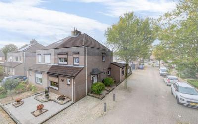 Haagbeuk 4