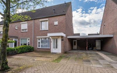 Haagbeuk 49