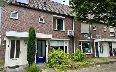Haagbeuk 65