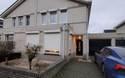 Zwanebloem 11