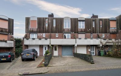 Molenbeek 113