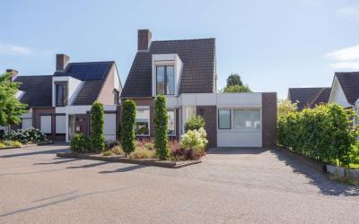 Blauwverver. 38