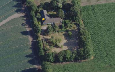 Zwarte Plak. 77