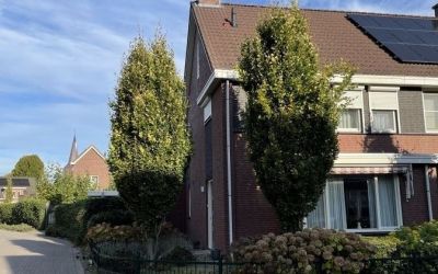 Zilverschoon 1