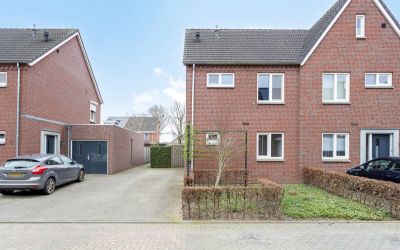 Zilverschoon 10