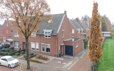 Zelen 1-C