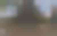 Ceres 8