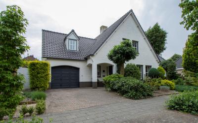 Ridderspoor 10