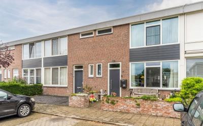 Scheldestra. 39