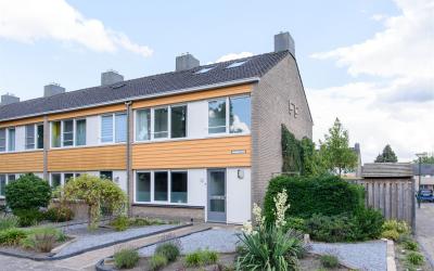 Ridderspoor 1