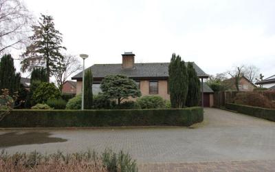Hortensiast. 8
