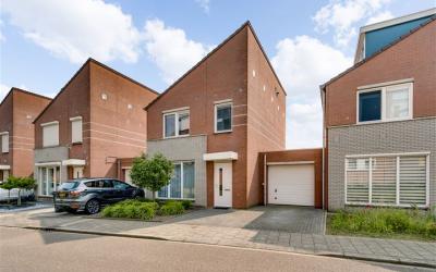 Willem Dree. 43