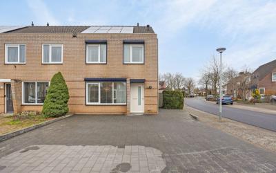 Gagel 25
