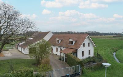 Hingenderst. 54
