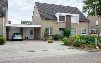 Jan van Sal. 44
