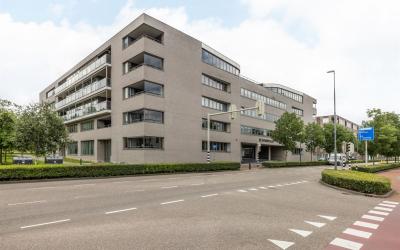 Odasingel 481