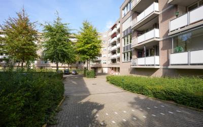 Blijdestein 38