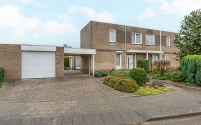 Haagsittard. 14