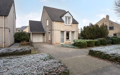 Haagsittard. 34