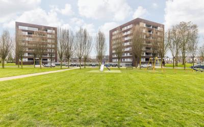 Geallieerde. 4