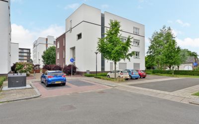 Sleutelbloem 12