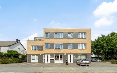 Sint Petrus. 19