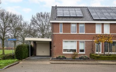Hortensiast. 1