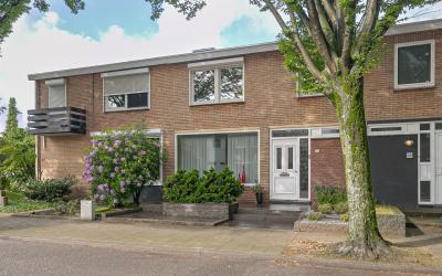 Boerhaavest. 52