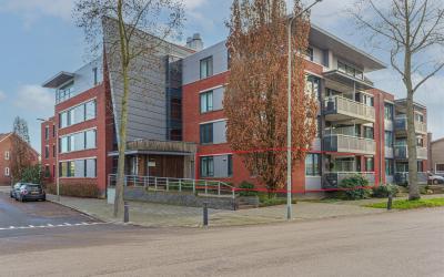 Daalhof 11