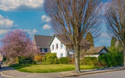 Bosbeek 1