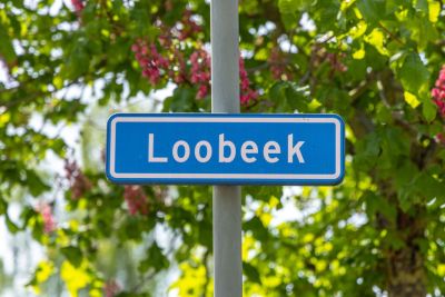 Loobeek 1