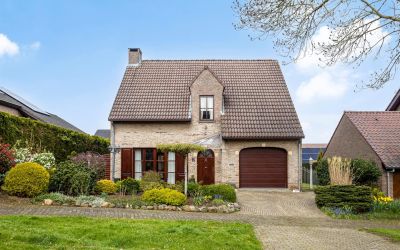 Wouderpad 12