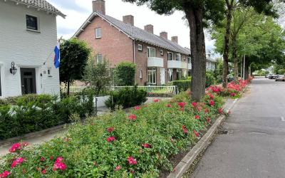 Jekerschans 55
