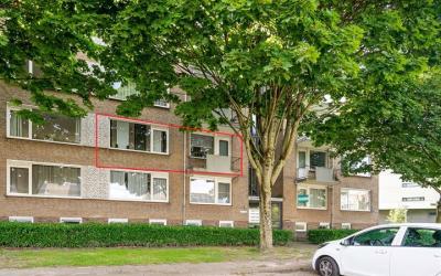 Zeepzieders. 12-B
