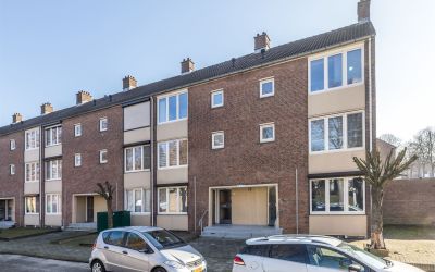 Opalinestra. 91