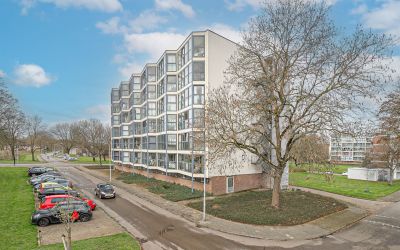 Florijnruwe 98-F