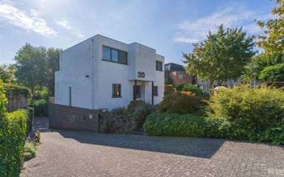 Esdoorn 30