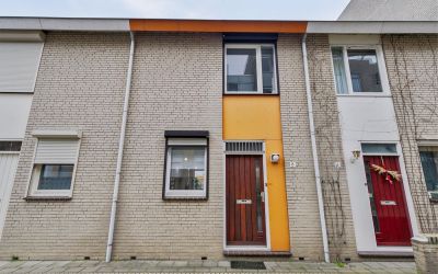 Plantijndom. 8