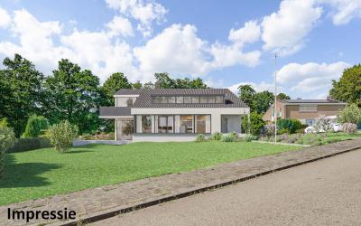 Gerbergapla. 7