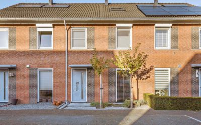 Veldleeuwerik 39