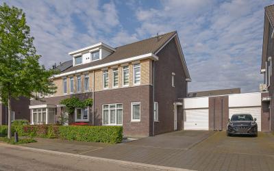 Groene Spec. 17