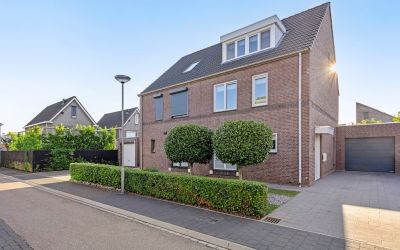 Lijster 3