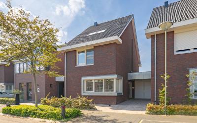 Paardebloem 10