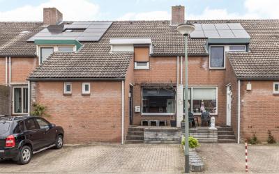 Zonnebloems. 17