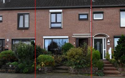 Zonnebloems. 50