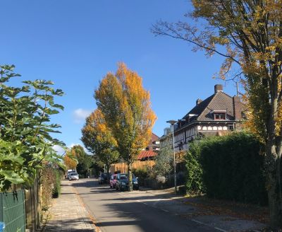 Montfortstraat 29