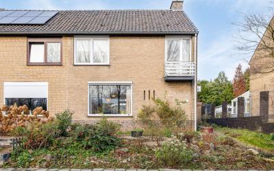 Binsfeldstr. 13