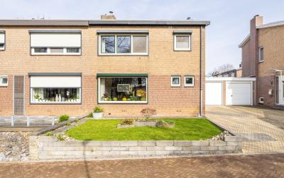 De Katplant. 4