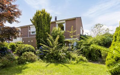 Op het Berg. 8
