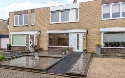 Korenbloem 4